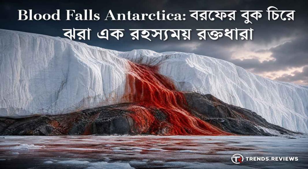 The Crimson Flow and the Ancient Secrets.