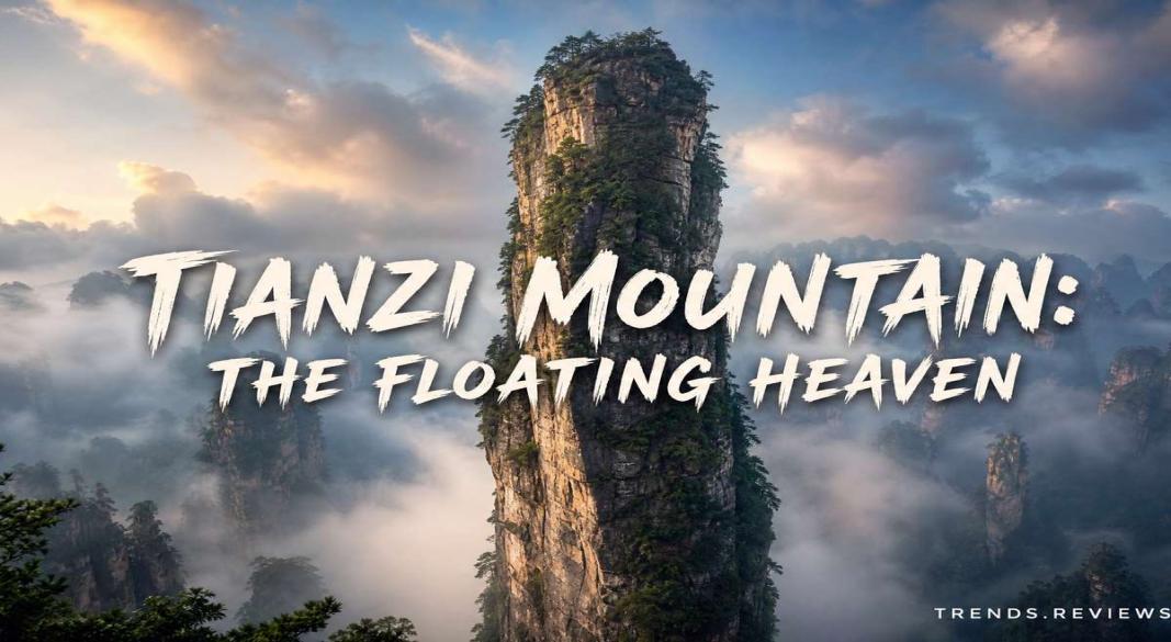 Real-Life Avatar? Tianzi Mountain: মেঘের ওপর ভাসমান এক অলৌকিক স্বর্গ!